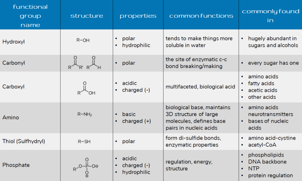 Biology Chemical Group